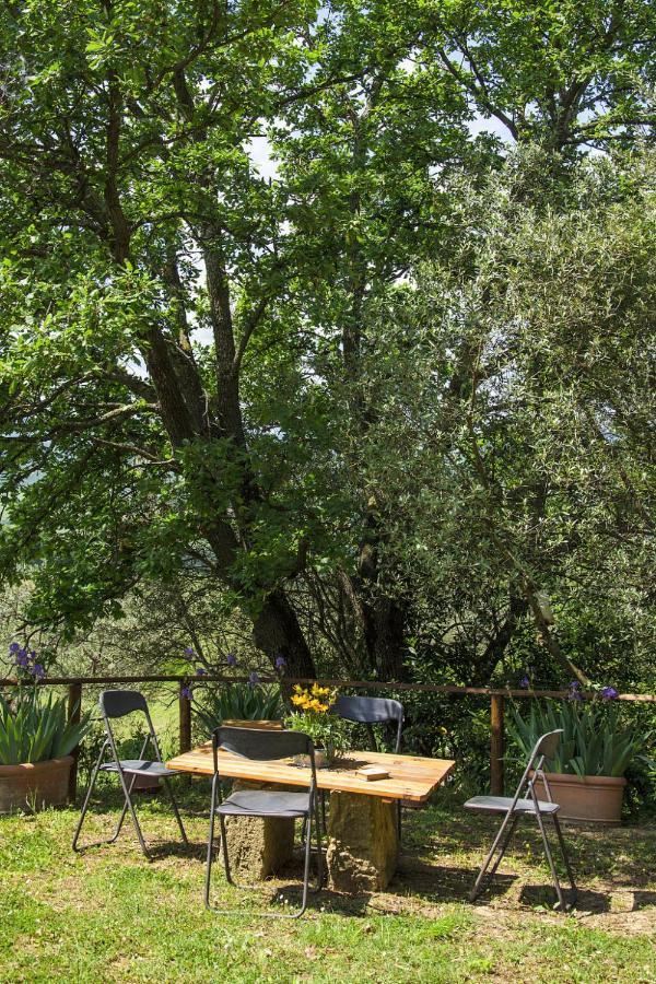 Locazione Turistica Casolare Ser Chelino Volterra Esterno foto
